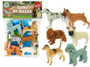 CANI DI RAZZA 6 MDL ASS  TEOREMA